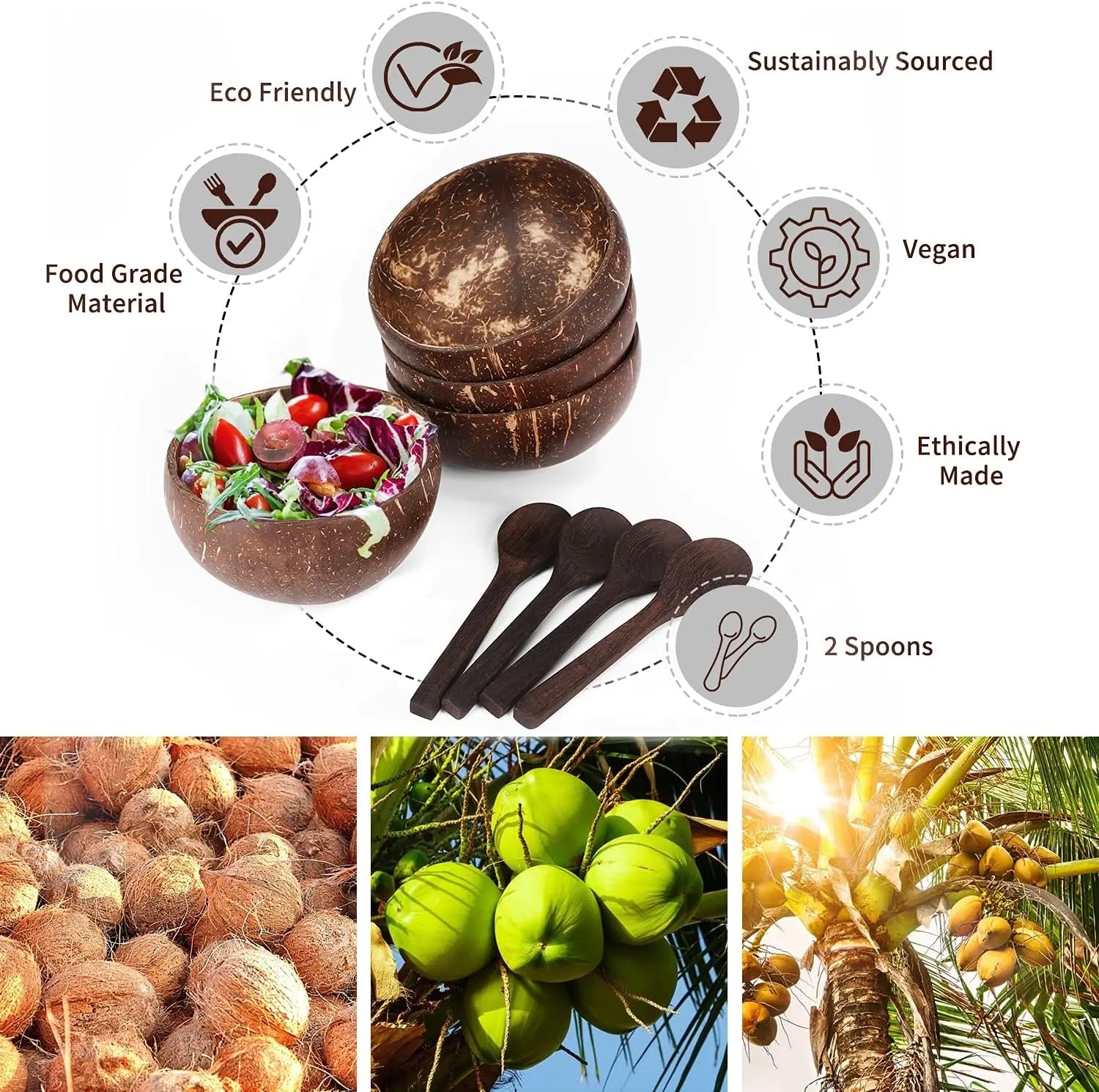 Natural Coconut Shell Bowls