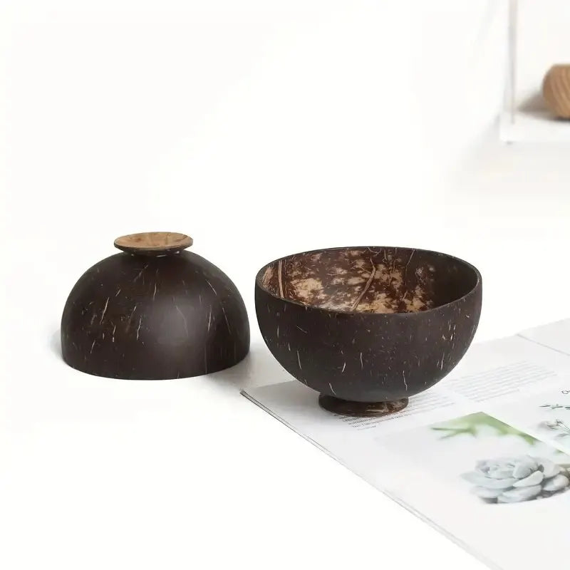 Natural Coconut Shell Bowls