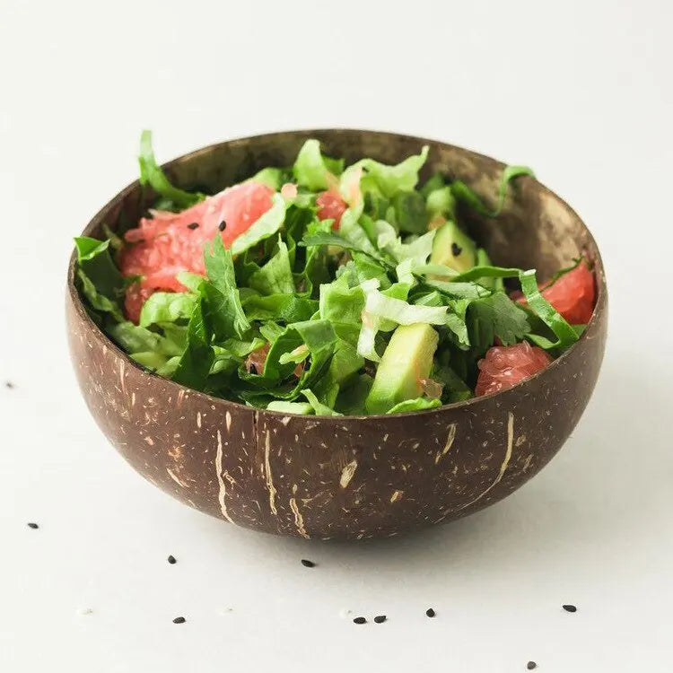 Natural Coconut Shell Bowls