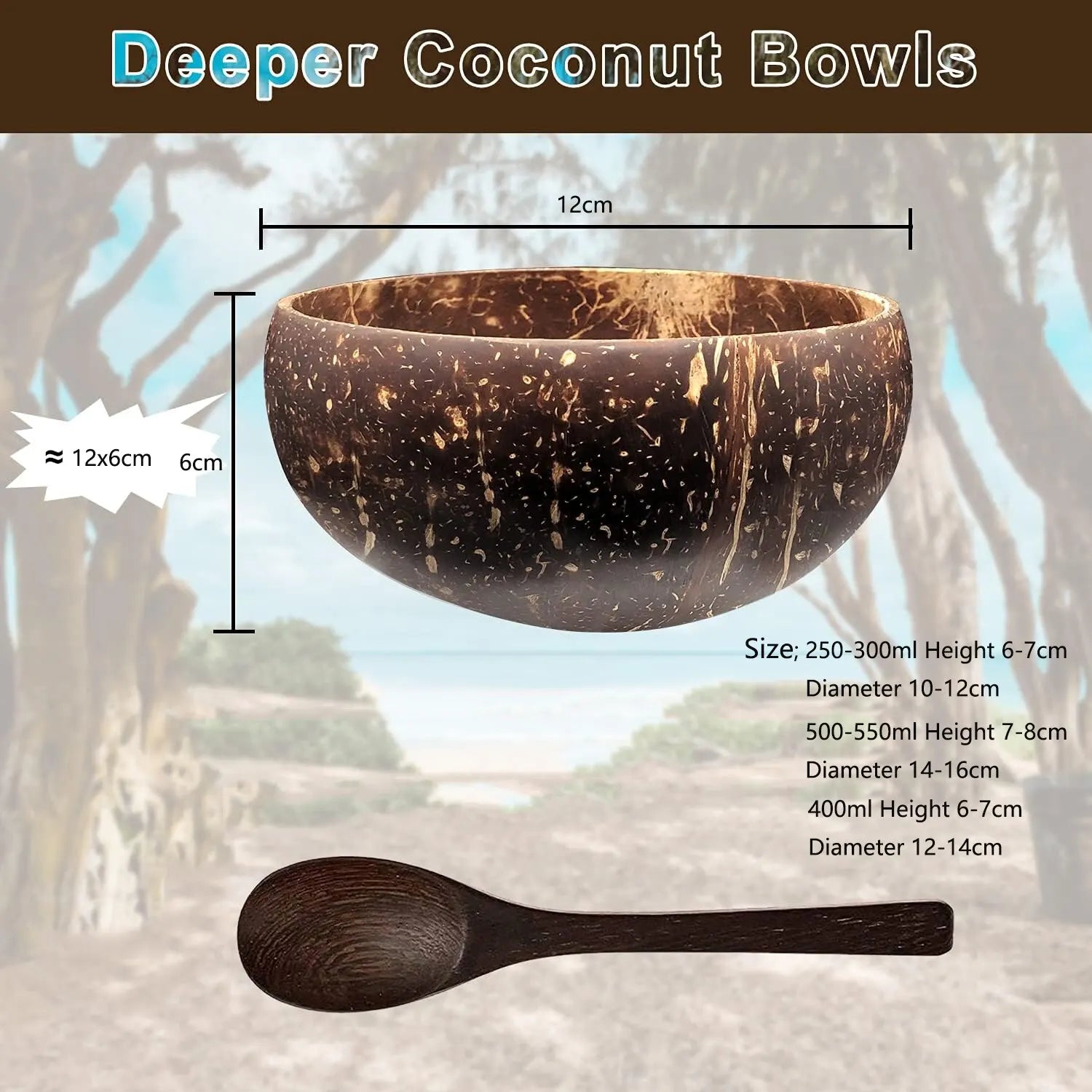 Natural Coconut Shell Bowls